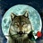 laris_72